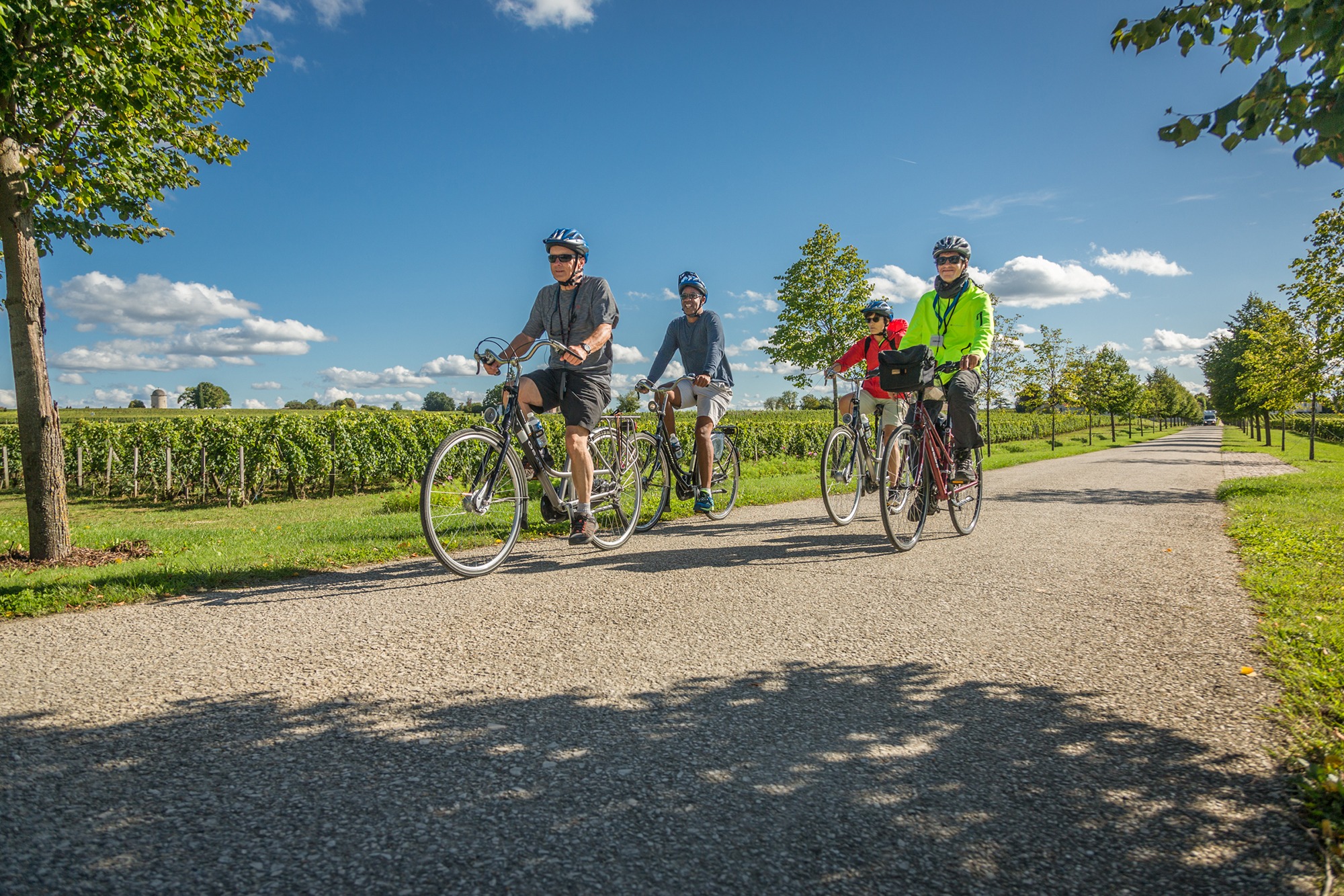 bike tour through vineyards